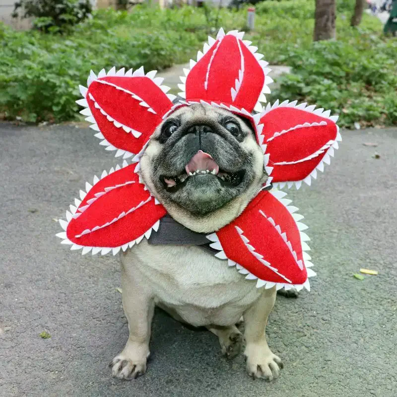 Suministros ajustable divertido sombrero de gato Demogorgon disfraz de flor aterradora cumpleaños accesorios para mascotas sombreros para perros pegatina