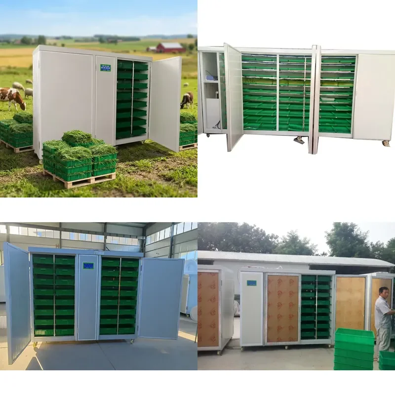Automatic Hydroponic Alfalfa Germination Machine for Animal Feed 50kg Mung Bean Sprouter