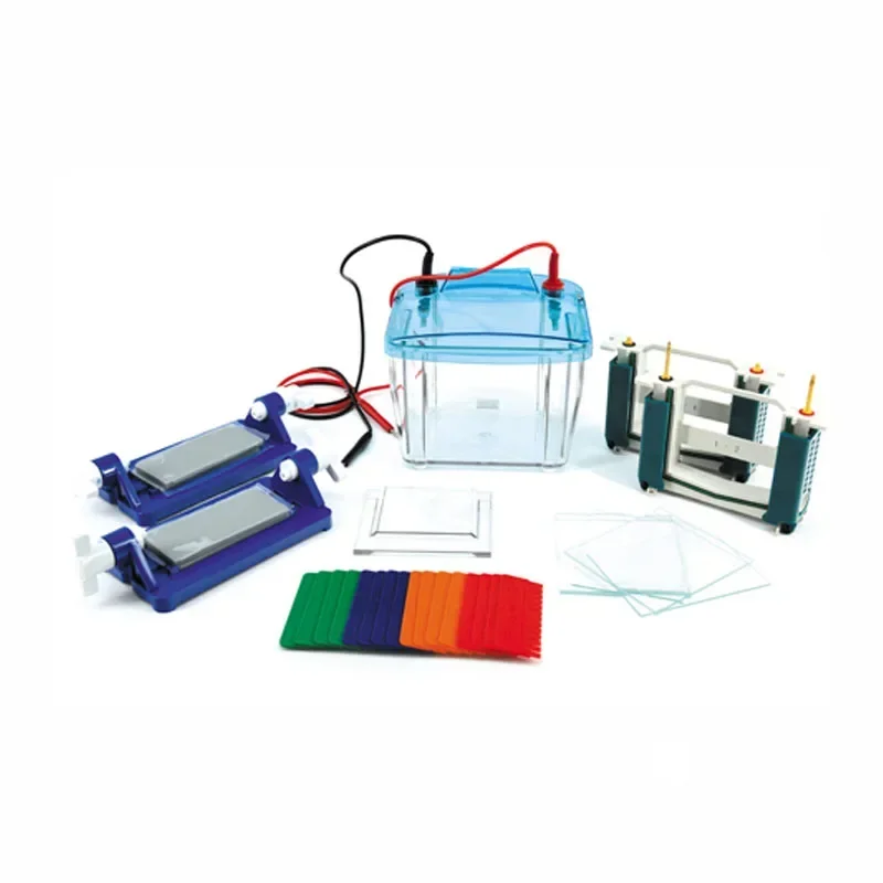 Protein Electrophoresis Cell P4 Vertica Protein Electrophoresis Tank DYCZ-25E For SDS-PAGE Experiment