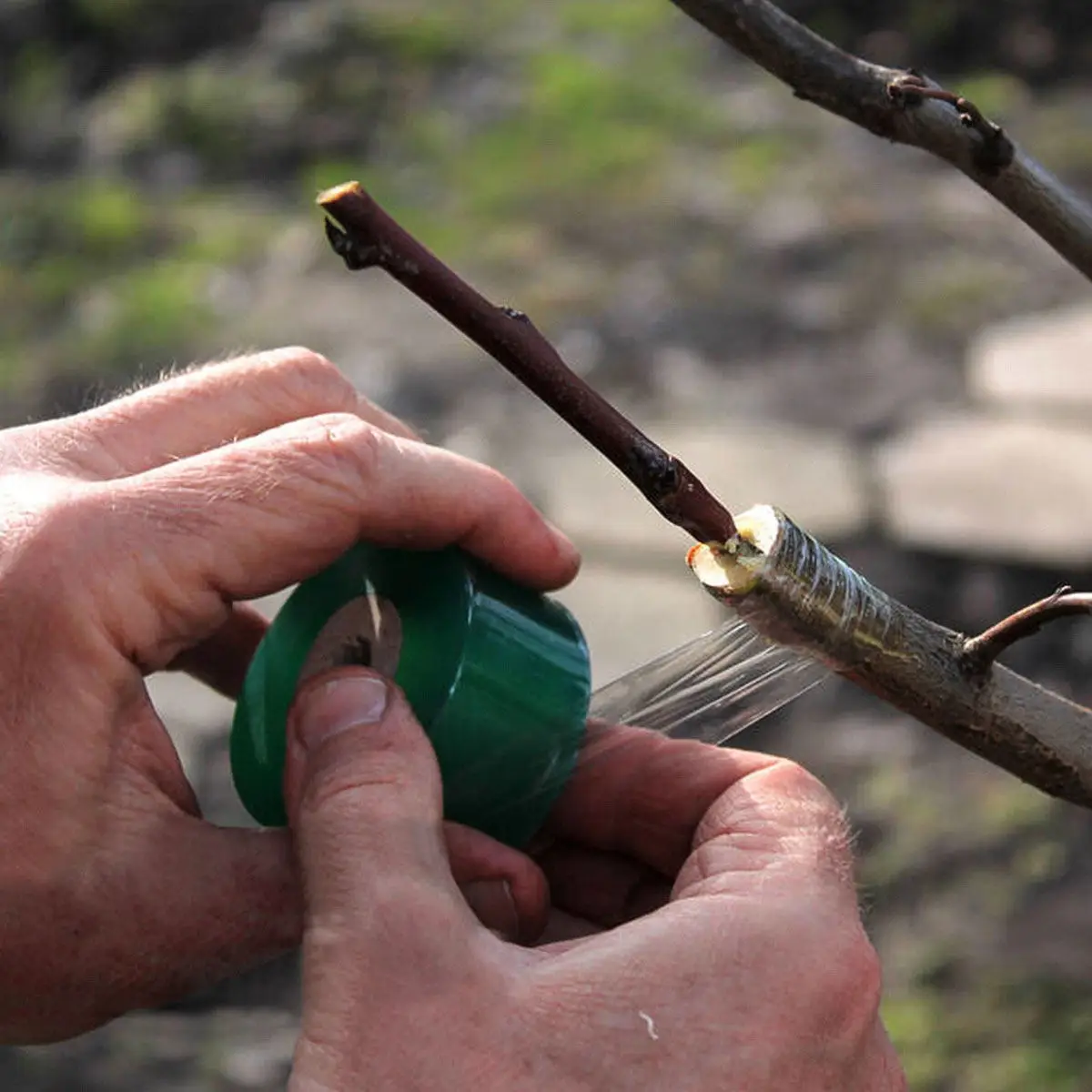 

4pcs 3Cm Grafting Tape For Fruit Trees Waterproof Self-Adhesive Stretchable Film Plant Protection Cover For Grafting Budding