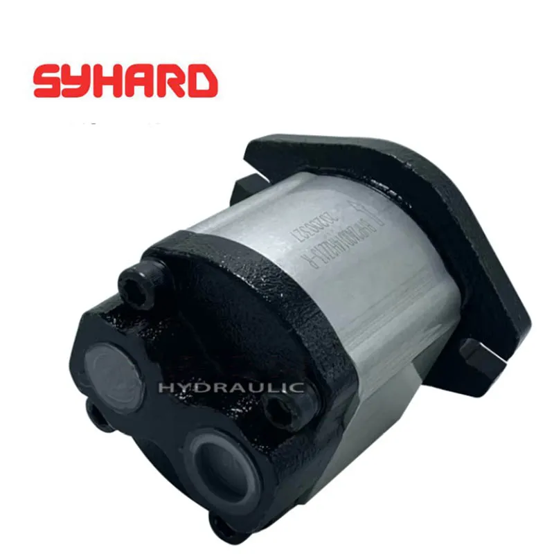Pompa a ingranaggi HDCBDZ-F14AL12H1-BB HDCBDZ-F3AL12H1-BB HDCBDZ-F4AL12H1-BB HDCBDZ-F6AL12H1-BB