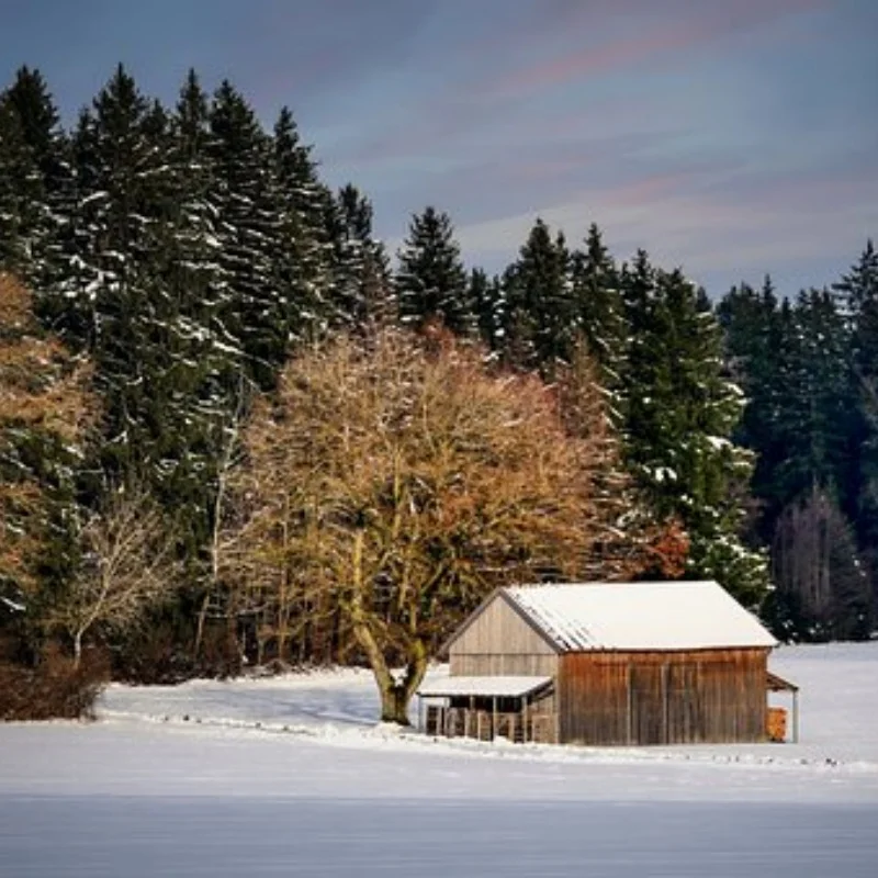 

12428 12423 Комплект обновленных аксессуаров Амортизаторы для Feiyue FY03 WLtoys 12428 12423 1/12 RC Багги Автозапчасти