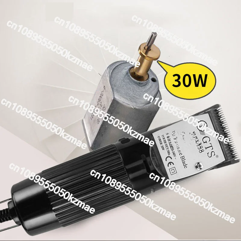 Machine à raser les animaux électrique 30W, adaptée au coiffeur d'animaux