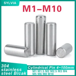 M1 M1.5 M2 M2.5 M3 M4 M5 M6 M8 M10 Cylindrical Pin Locating Dowel 304 Stainless Steel Fixed Shaft Solid Rod Gb119 4~100mm