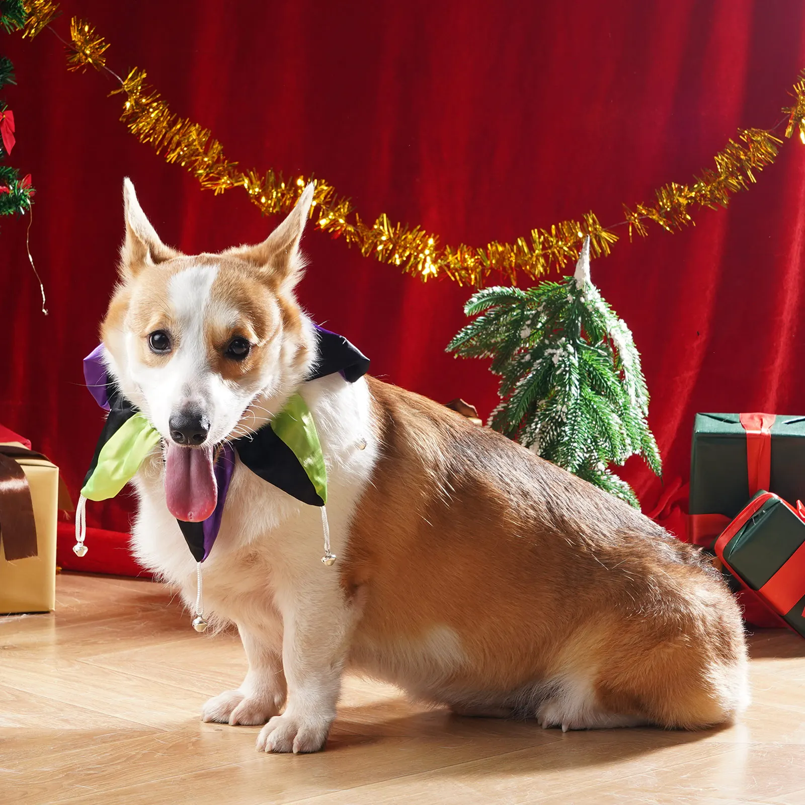 

Halloween Pet Dress-up Dog Cat Witch Hat Clothing Party Adjustable Pointed Hat Bat Cape Bell Neckerchief Scarf Pet Party Costume