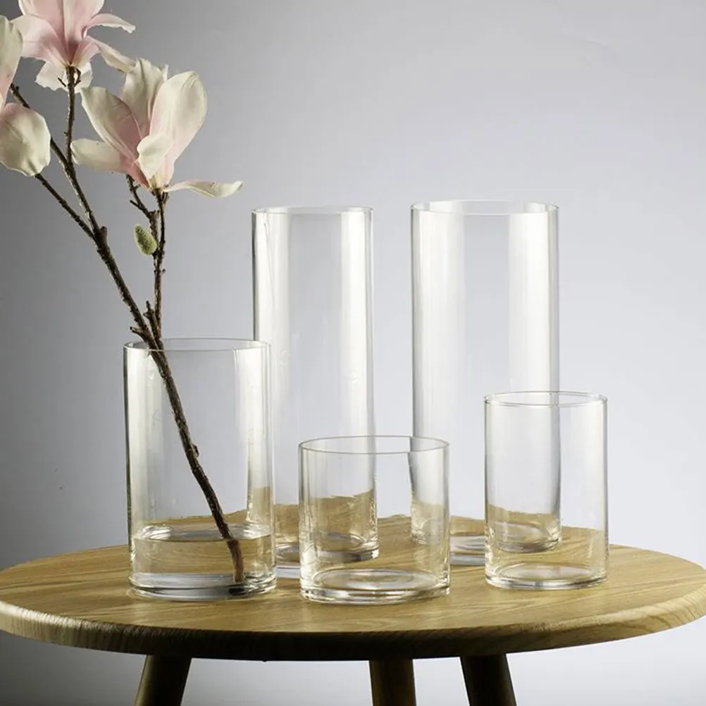 

2 Pcs Pots for Plants Small Clear Vases Glass Flowers Decor Centerpieces Transparent Modern Aesthetic