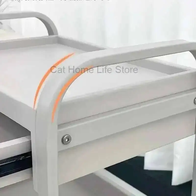 

Trolleys Auxiliary Hair Salon Beauty Trolley Machine Dressing Cart Wheels Make Up Hairdressing Drawer Aesthetic Drawers Tattoo