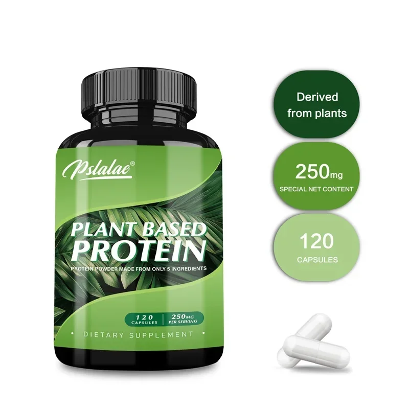 

Plant Based Protein Supplement - Digestive Support, Promotes Intestinal Health, Antioxidant Supplement