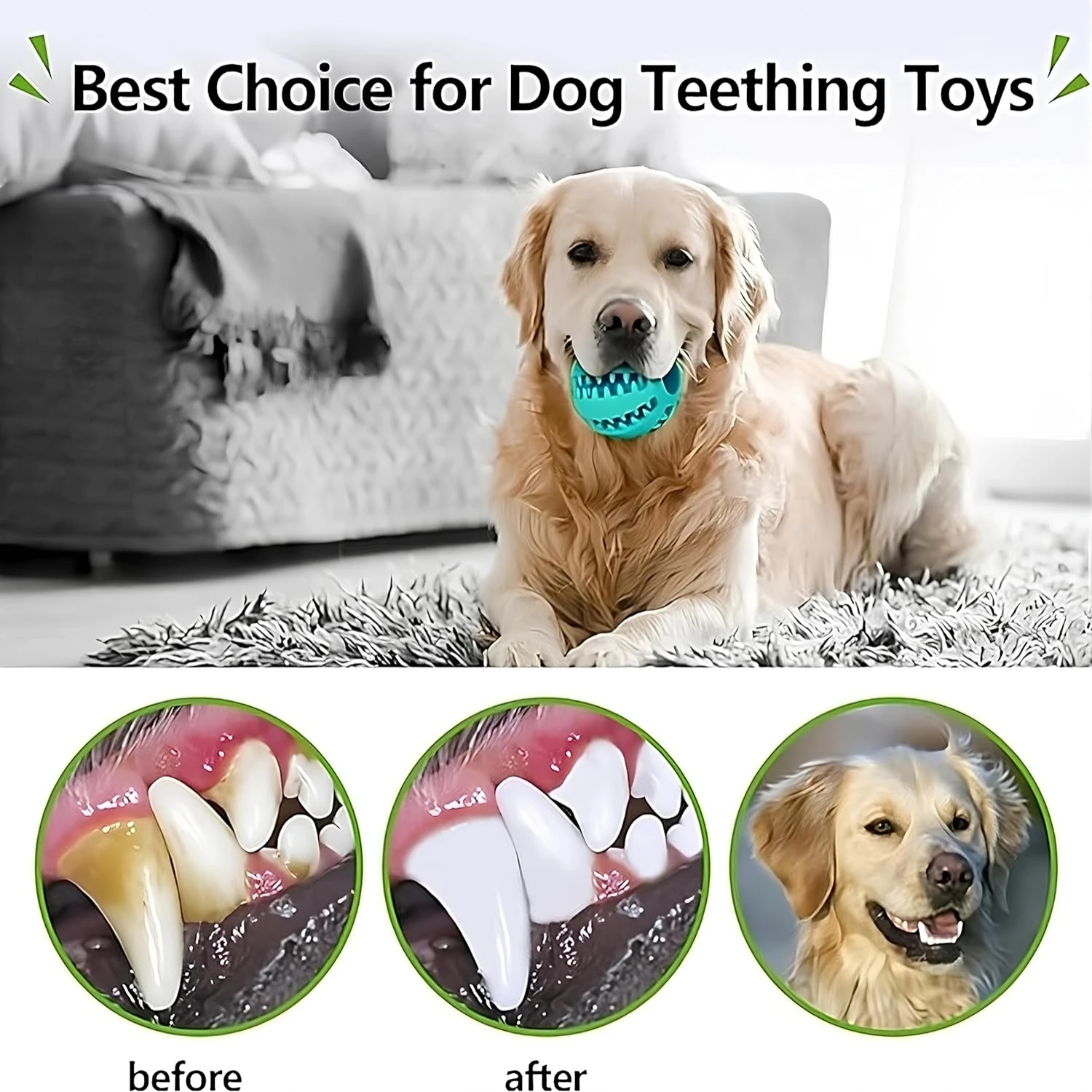 Engaging and Fun Interactive Dog Toy Pack for Small, Medium, and Large Dogs - Durable Set Keeps Your Furry Friend Active, Entert