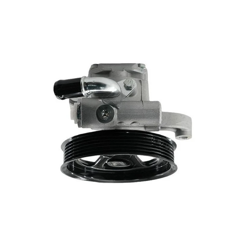 20954812 Automotive Power Steering Pump Power Steering Pump