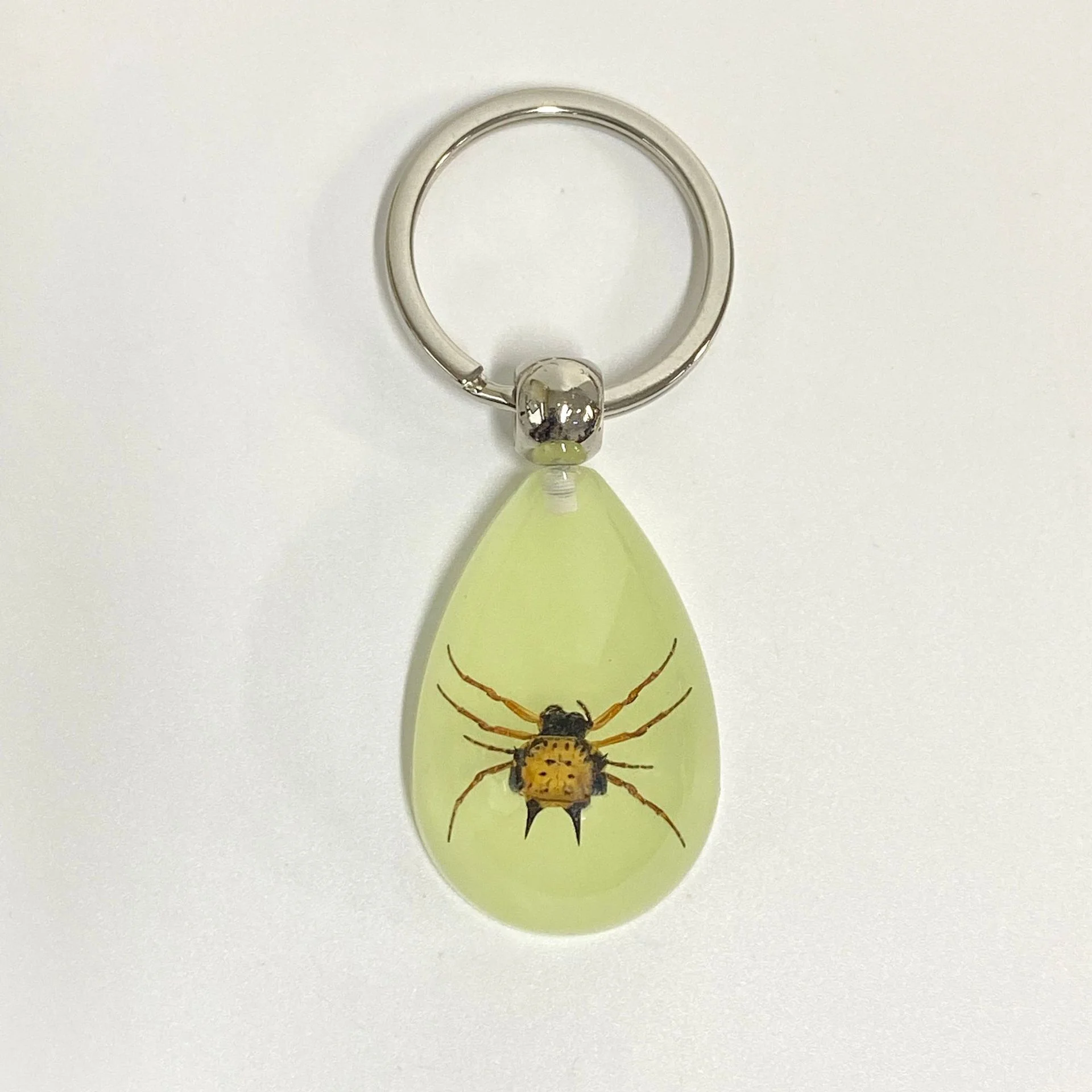 6 stuks insect specimen sleutelhanger, kunstmatige epoxyhars auto hanger, kantoorornament, insect amber hanger woondecoratie