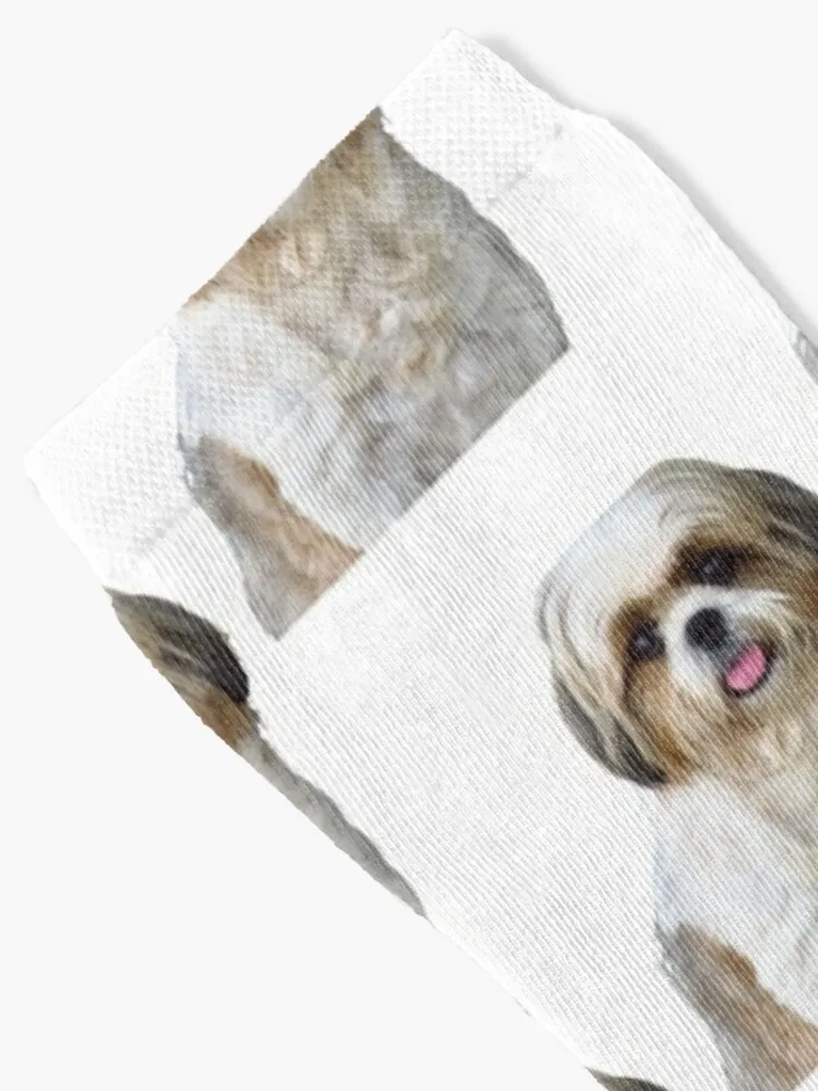 Hunde gesicht: Shih Tzu Socken Thermos ocken für Herren Herrenmode