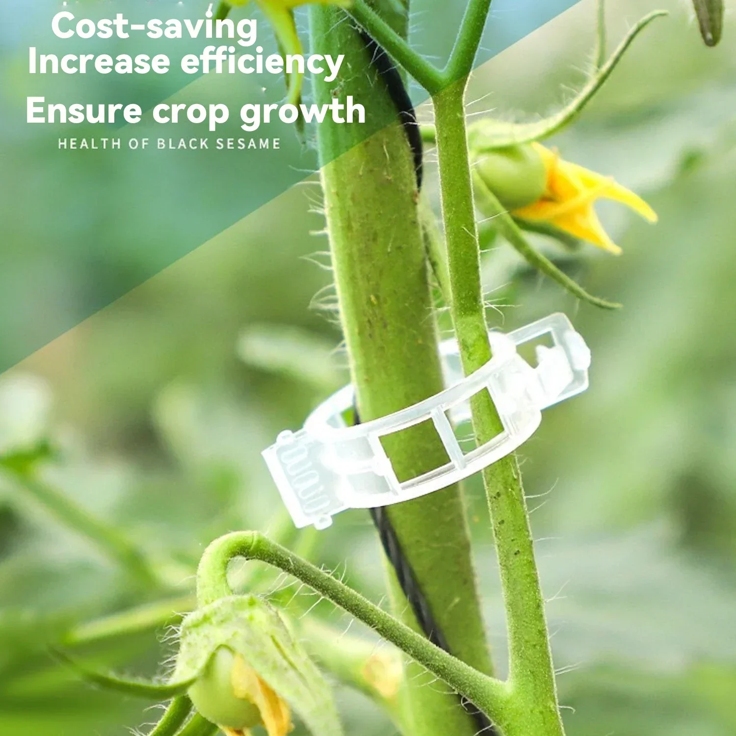 100-800PCS Plant Fixing Clips Reusable Plant Vegetables Vine Connects Fixing Tool Tomato Grafting Protect Garden Supplies