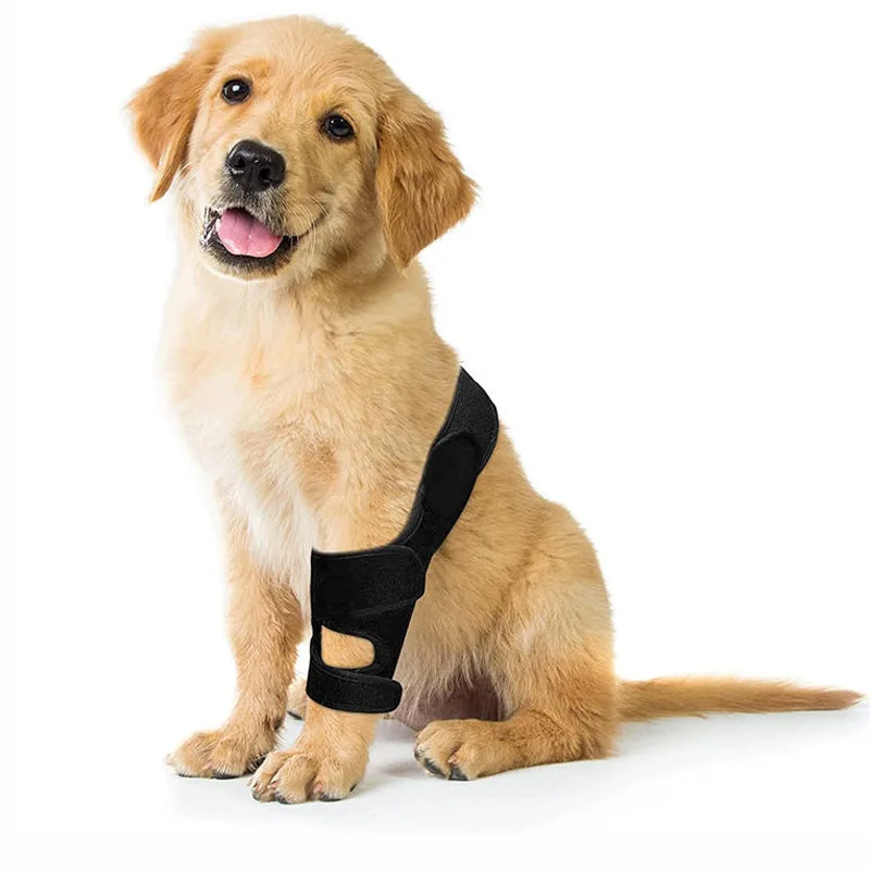 Pet Supplies Dog Leg joint Knee ACL Ligament Tear Protection Rehabilitation Belt Joint Dislocation Bracket