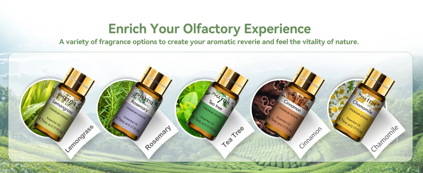 PHATOIL 15pcs x 5ml Essential Oil Gift Set For Aromatherapy Diffuser Lavender Peppermint Eucalyptus Lemon Cinnamon Vanilla Rose Aroma Essential Oils For Soap & Candle Making