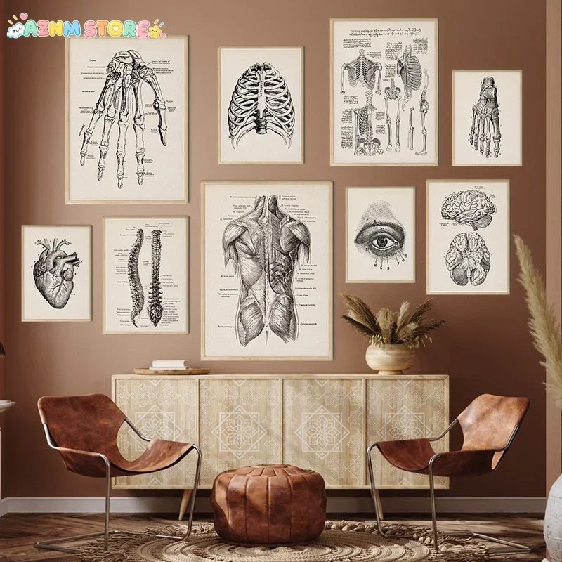 2027,Vintage Human Anatomy Artwork Medical Wall Picture Muscle Skeleton Poster Canvas Art Print Education Hospital Pharmacy P
