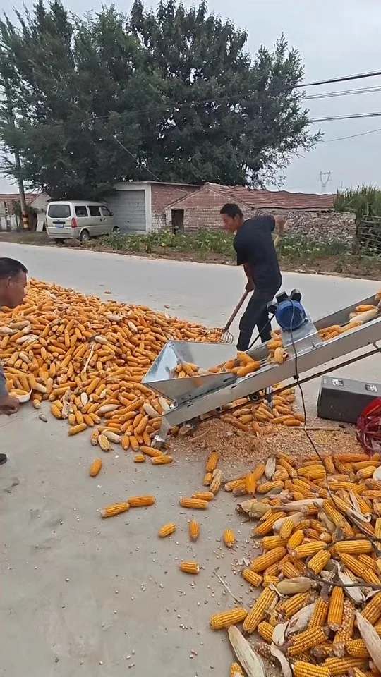Corn Cob Conveyor Machine Double Chain Cleaning System Auto Feeding Truck Loading