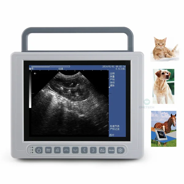 B21Vet Portable Ultrasound Scanner Machine For Sale Medical Ultrasound Instruments For Pig Cow And Sheep