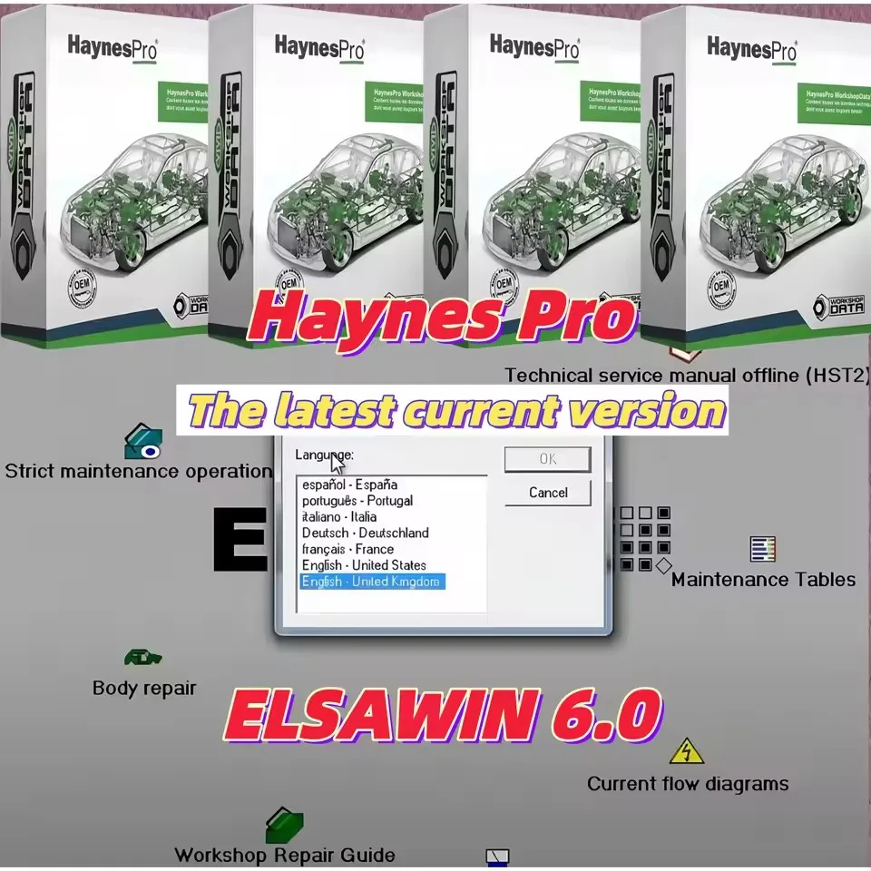 

2026 Hot Sale:Elsawin 6.0 + Haynes PRO Auto Repair Software: VW Audi Skoda Workshop Manual with Nitro Support & Instant Download