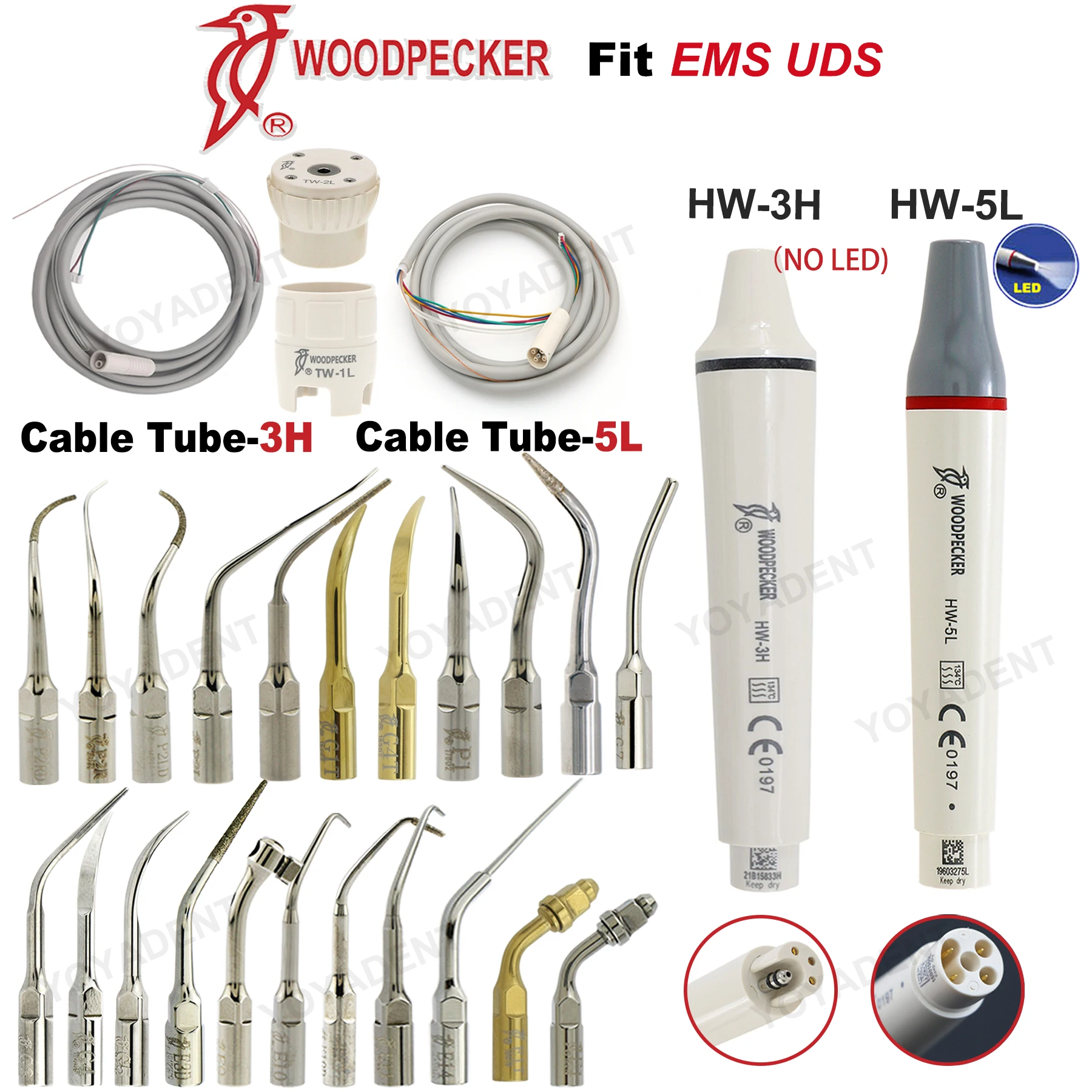 

Woodpecker Dental Ultrasonic Scaler Handpiece Scaler Tips Torque Wrench Remove Scaling Tips Fit EMS UDS Dentistry Tools