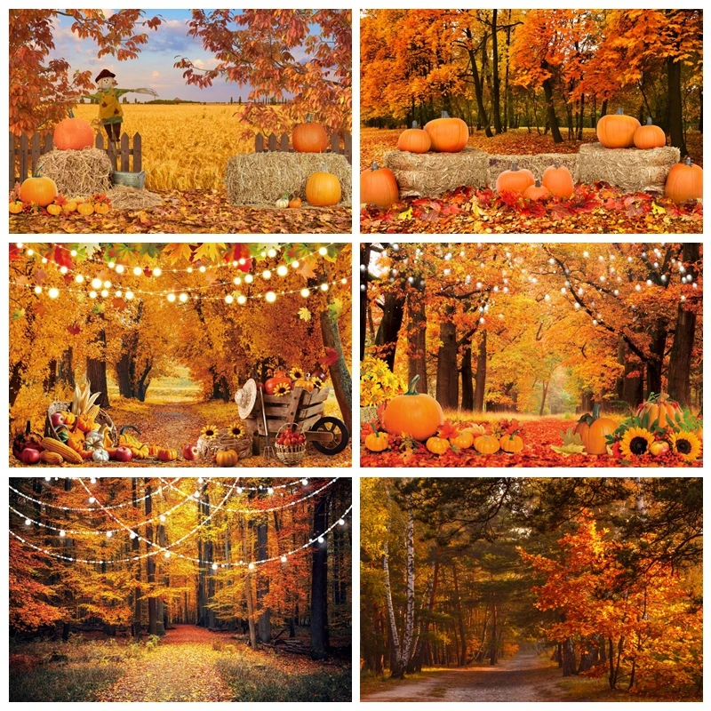 

Natural Autumn Forest Backdrops Photography Harvested Golden Fall Mable Background Baby Portrait Photographic Photo Studio Prop