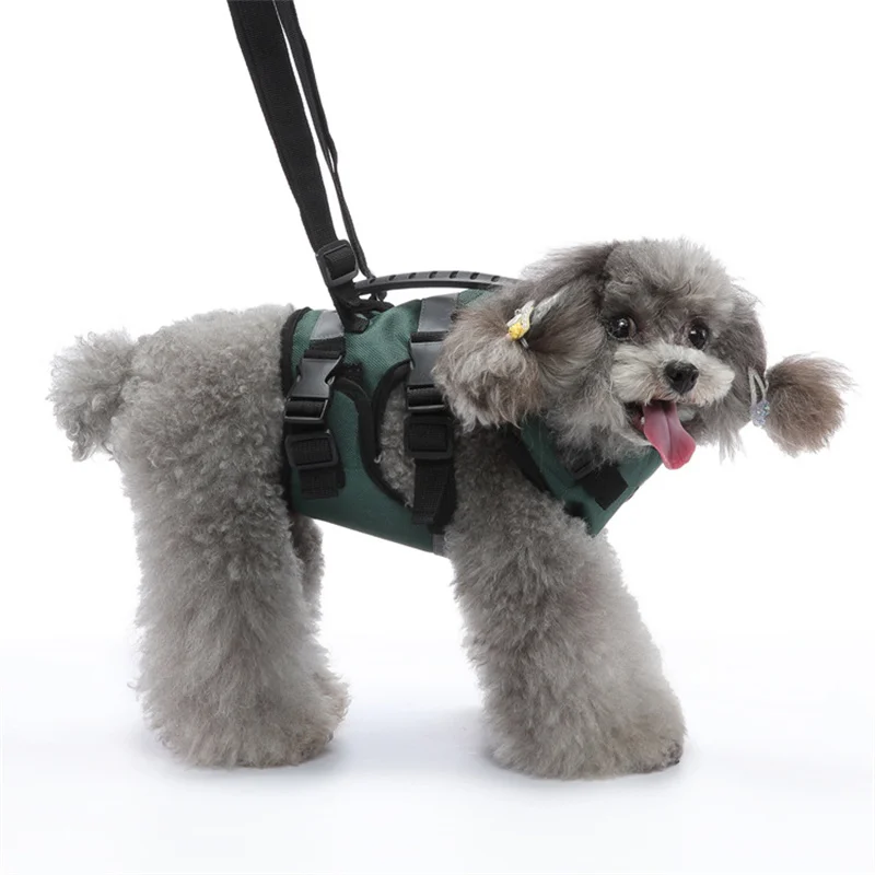 Dog Lift Harness for Small Dogs Full Body Support Pet Recovery Rehabilitation Sling for Old Disabled Joint Injuries Dogs Walking