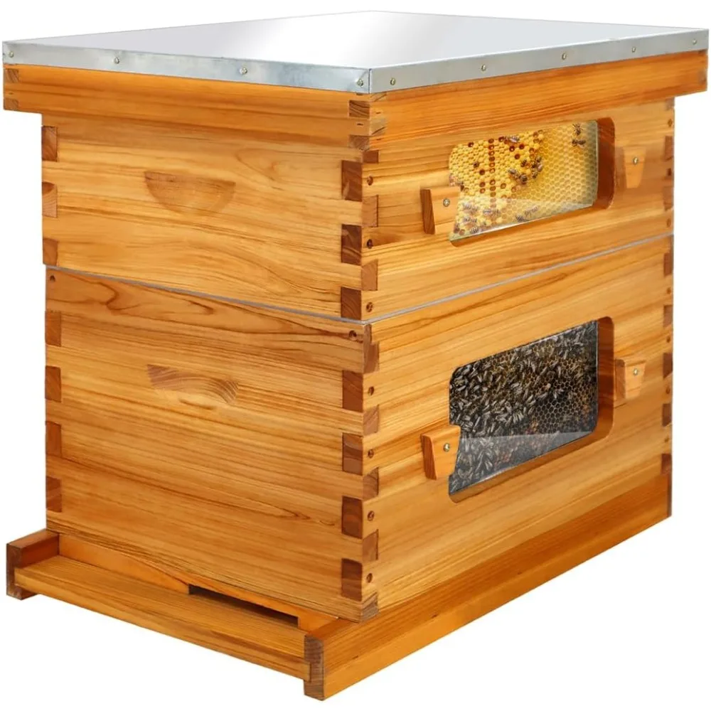 

Bee Hive with Windows, 8 Frame Langstroth Complete Beehive Starter Kit Dipped in 100% Beeswax with Beehive Frames and Waxed Fou