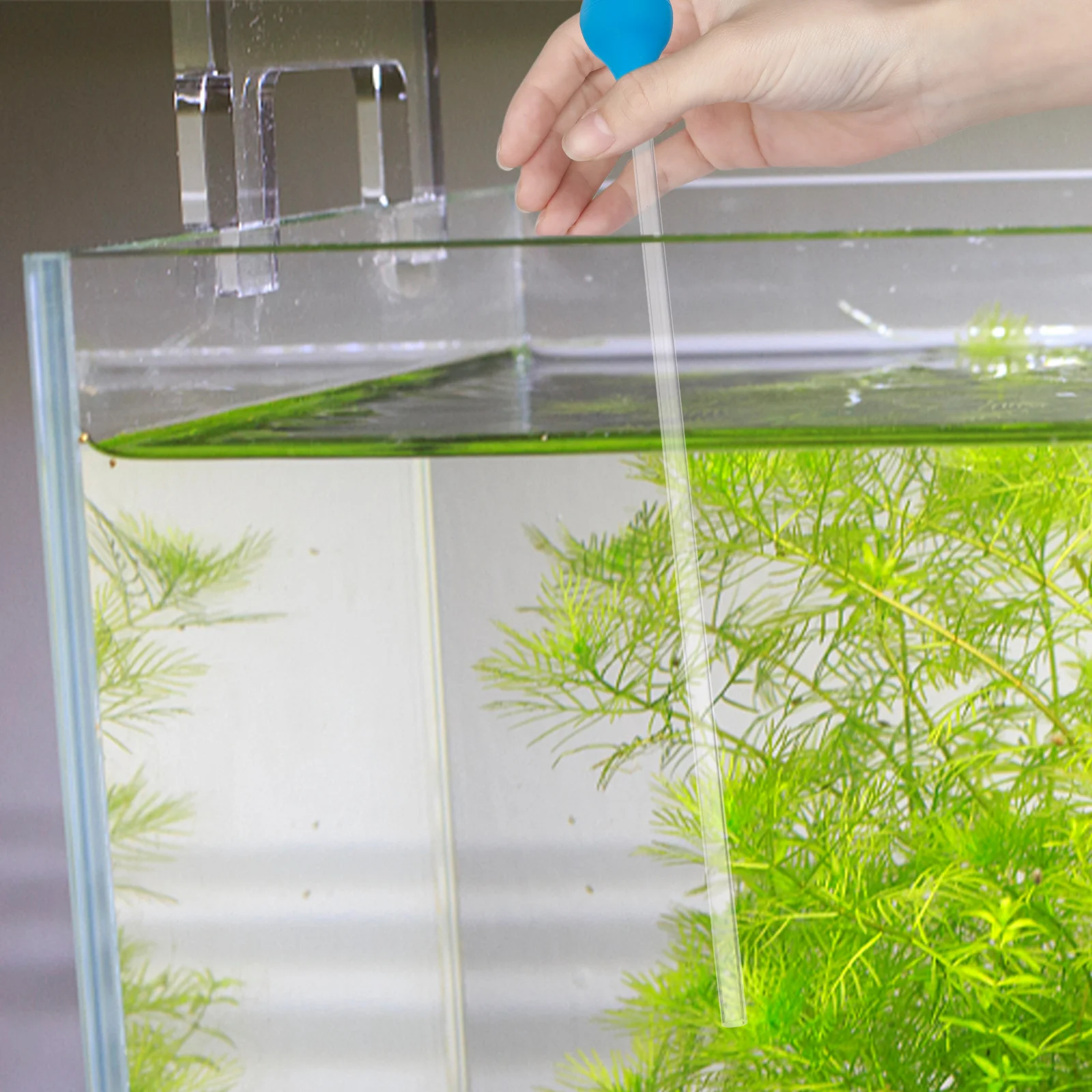 

Coral Food Tube Coral Feed Tube Coral Tube Fish Tank Coral Tube Feeder Tube Aquarium Coral Feeder