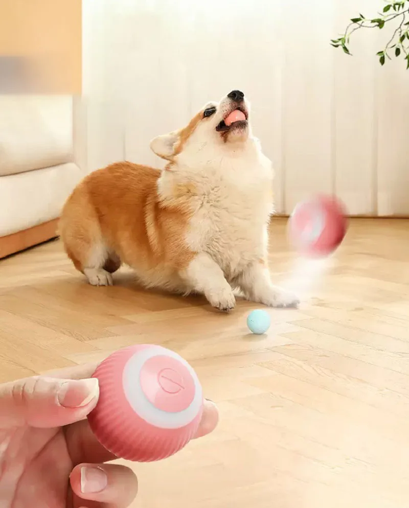 Electric Dog Ball Toys Auto Rolling Smart Dog Toys for Training Self-moving Pet Puppy Toys Indoor Interactive Play DC05