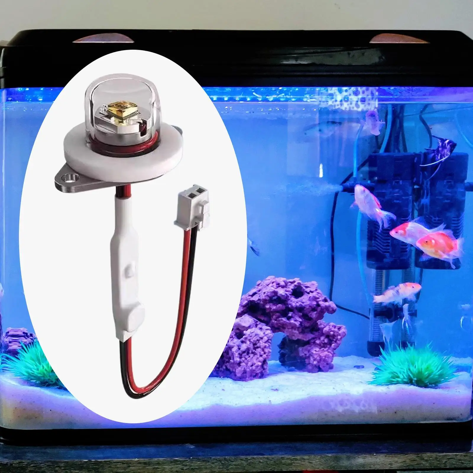 Módulo umidificador DC12-24V pequeno, resistente, eficiente, acessório eletrônico diy, módulo de purificação de água