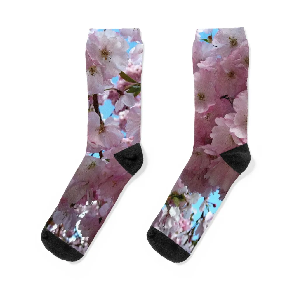 

Sakura - Japanese cherry blossom Socks japanese fashion Crossfit men cotton high quality Christmas Designer Man Socks Women's