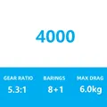 4000