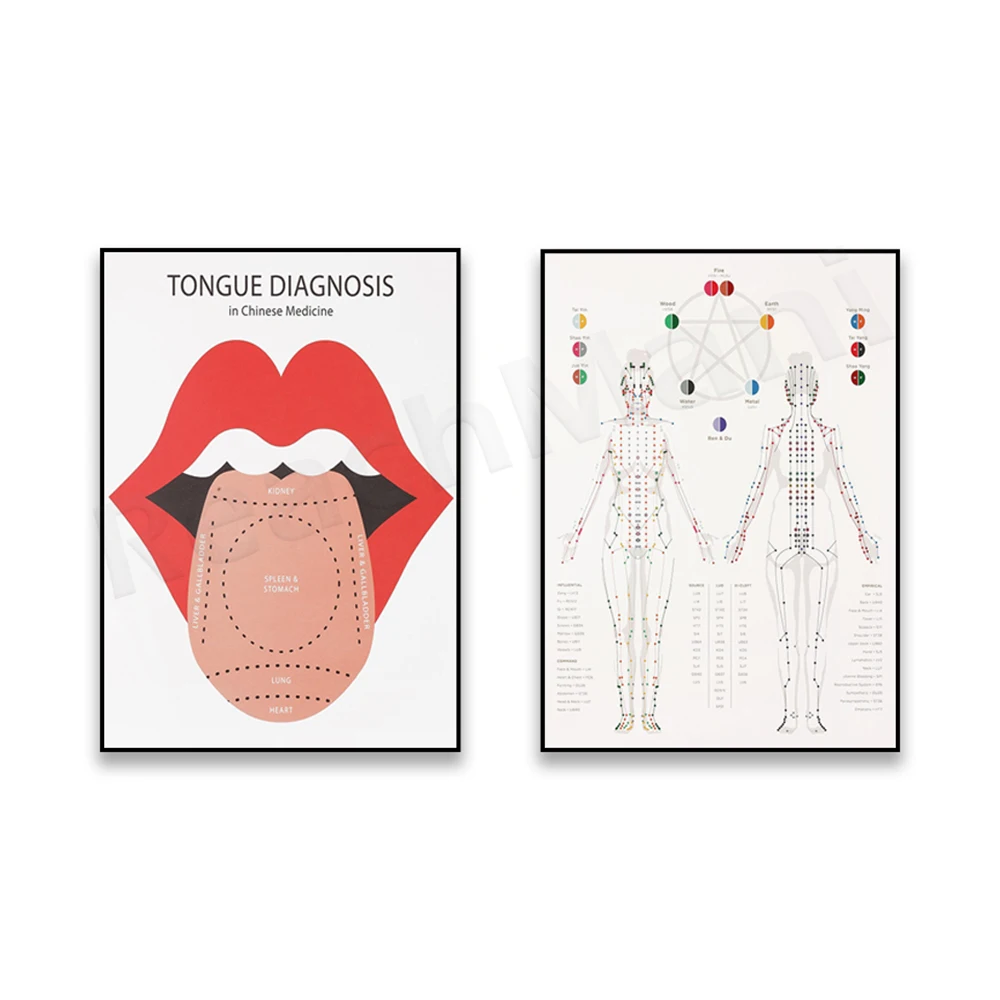 Tongue diagnosis diagram, scalp acupuncture, acupuncture meridian print. Traditional Chinese medicine, herbal medicine poster