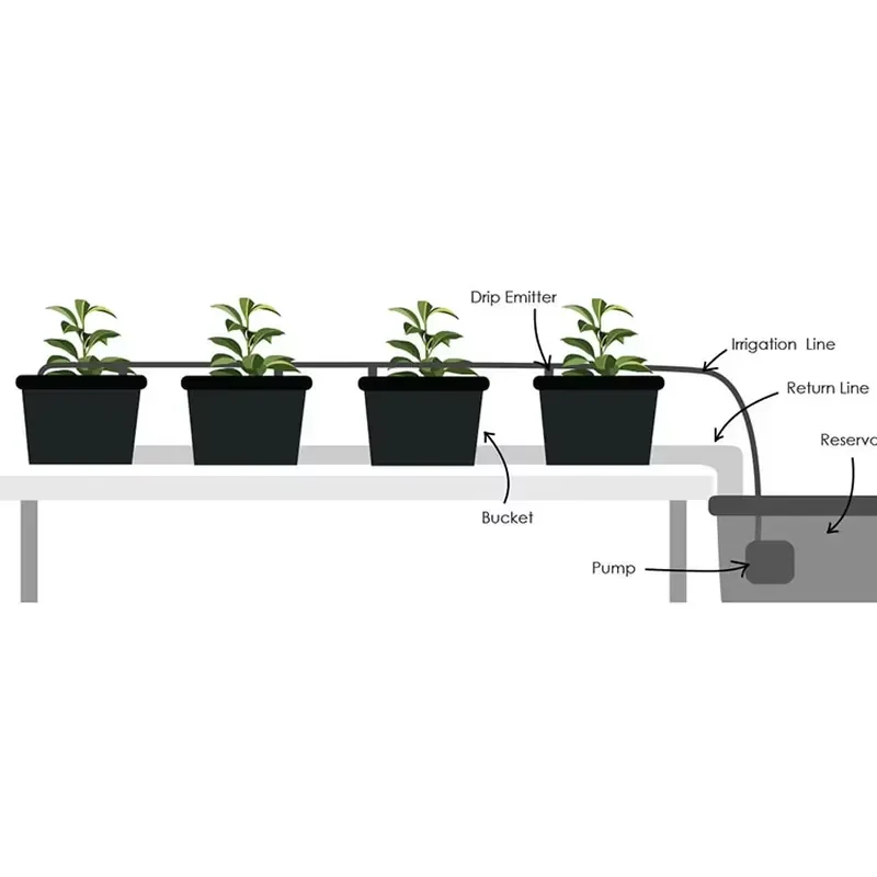 8 Dutch Buckets Hydroponics Farming for Tomato/Strawberry Balcony Growing System