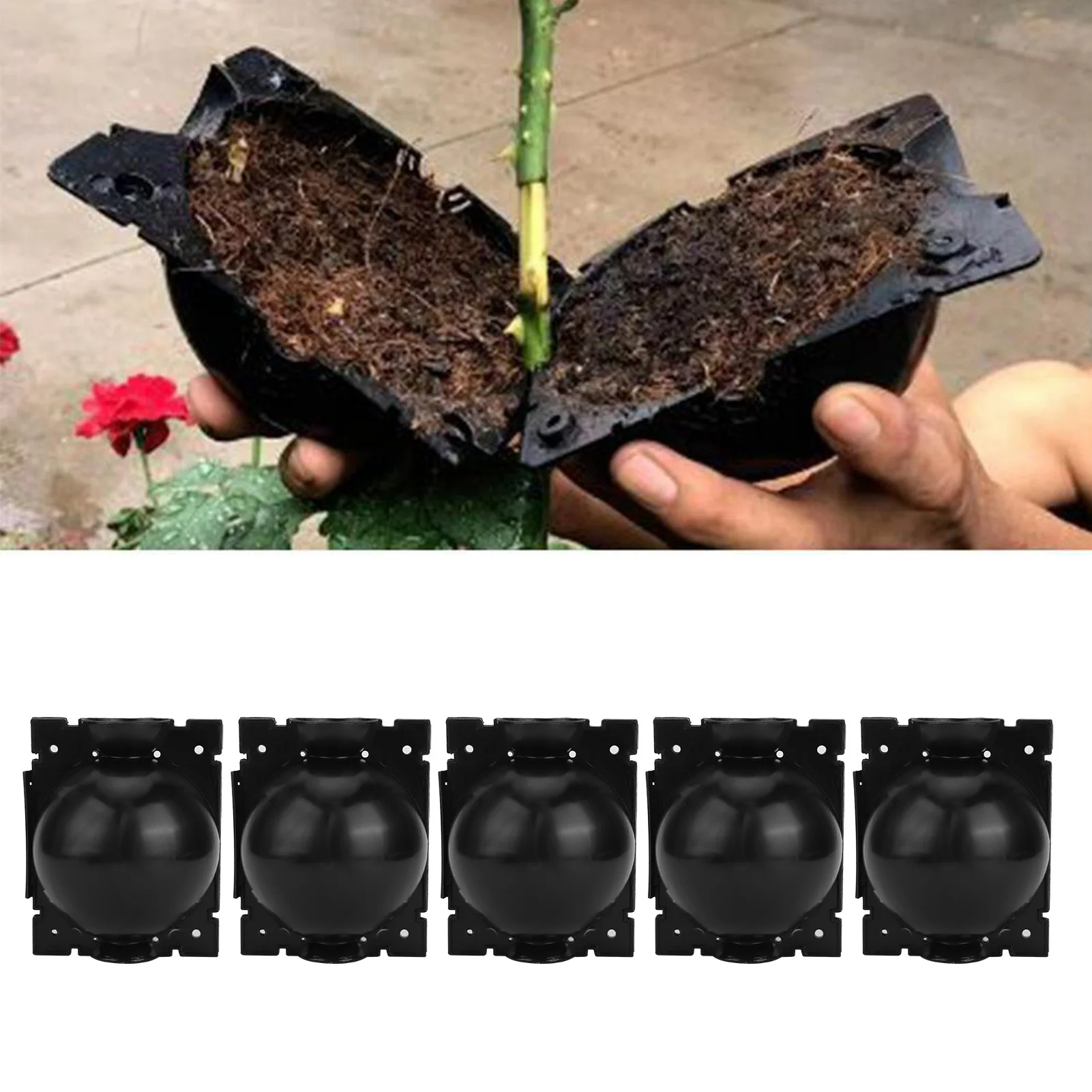 5Pcs Plant Rooting Ball Equipment High Pressure Propagation Breeding Marcottage Case For Garden Sapling Diameter 7-12mm 12-31mm