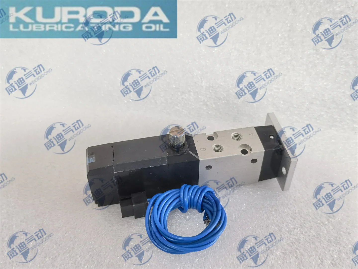 

Electromagnetic Valve PCS245-NB-100 * */D24 * * PCD245-NB-D24**