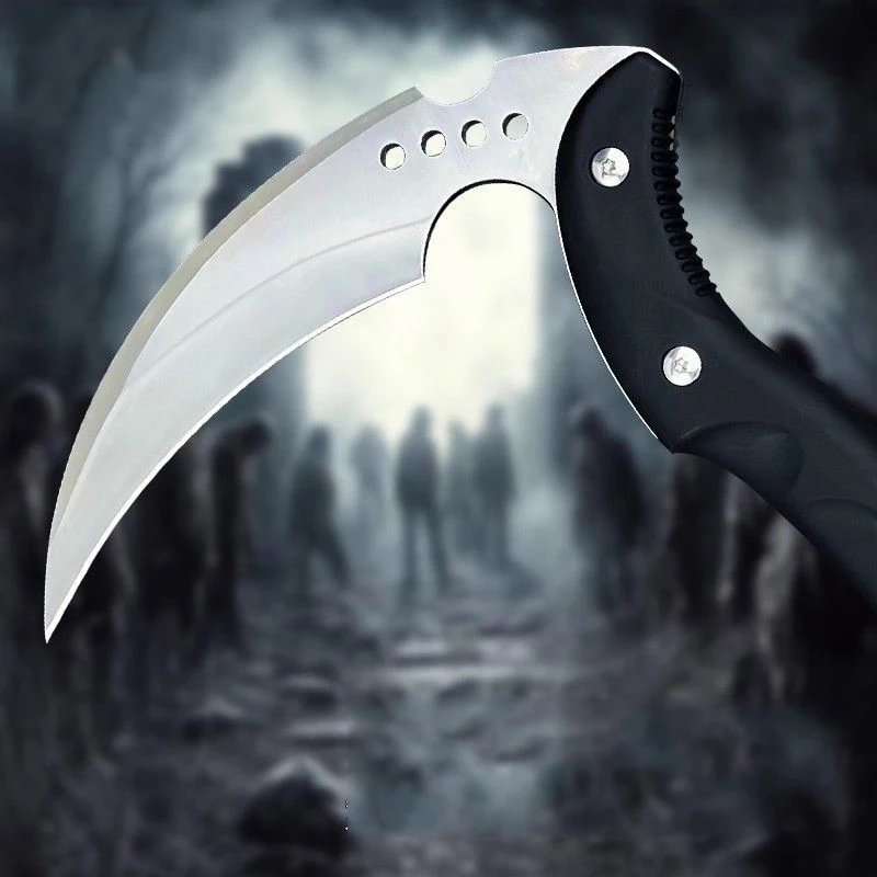 Multifunctional Sic…