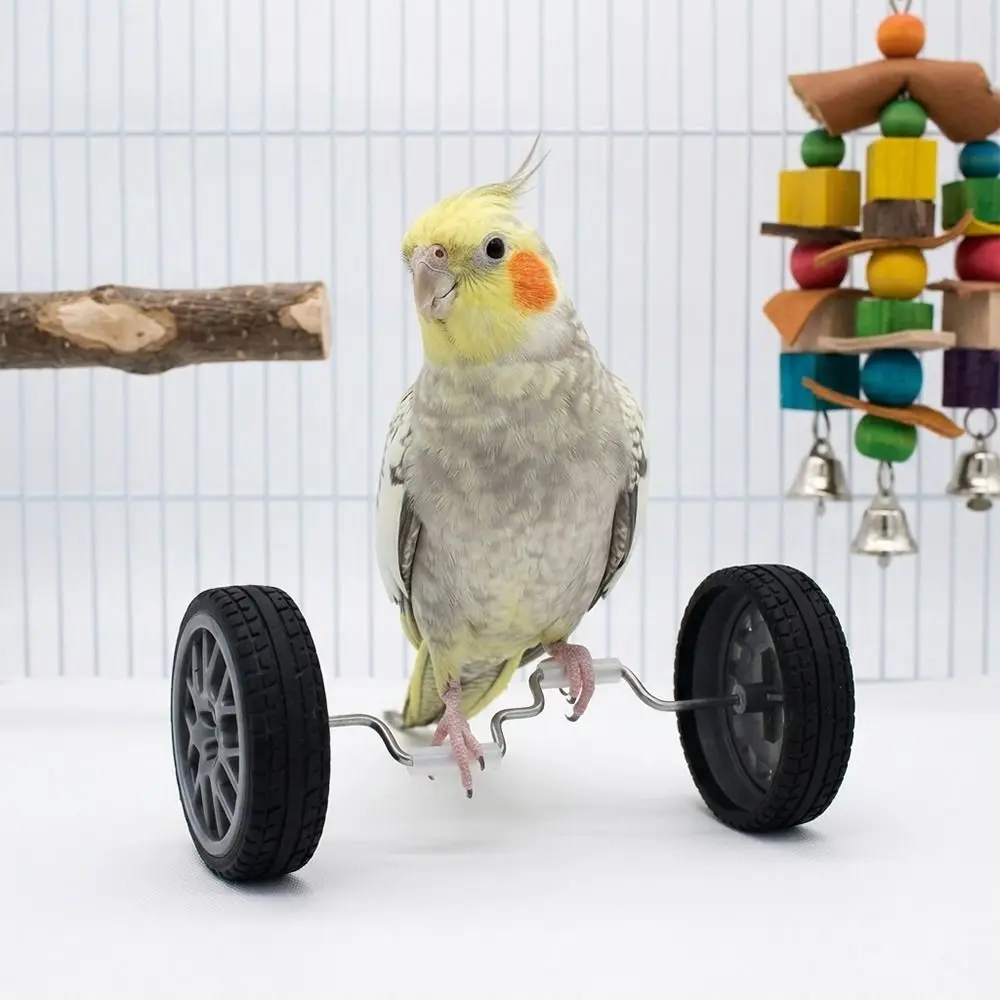 Multifunktionales Plastik-Papageien-Balance-Bike Leichtes Vogel-Trainingsfahrrad Intelligenzförderung für Kleine und Mittlere Vögel – Detail 8
