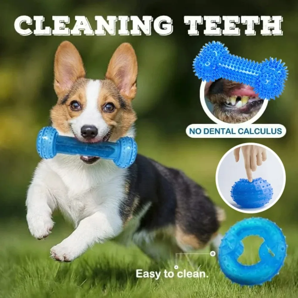 Summer Dog Chew Toy…
