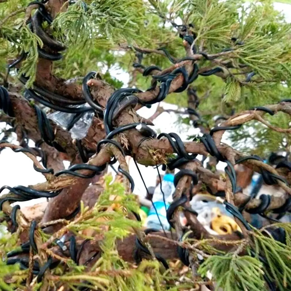 1Pcs Wires Modeling Bonsai Aluminum Wires Plant DIY Shape 1.0/1.5/2.0/2.5/3.0mm Aluminum Training Wires 5Meters