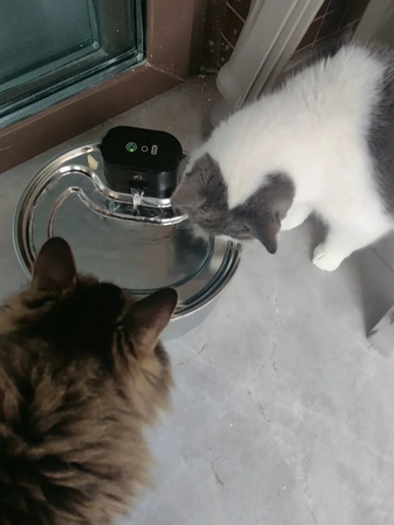 Automatic Flowing Pet Drinking Bowl Wireless Stainless Steel Water Fountain Smart Pet Feeding Supply For Dog Cat