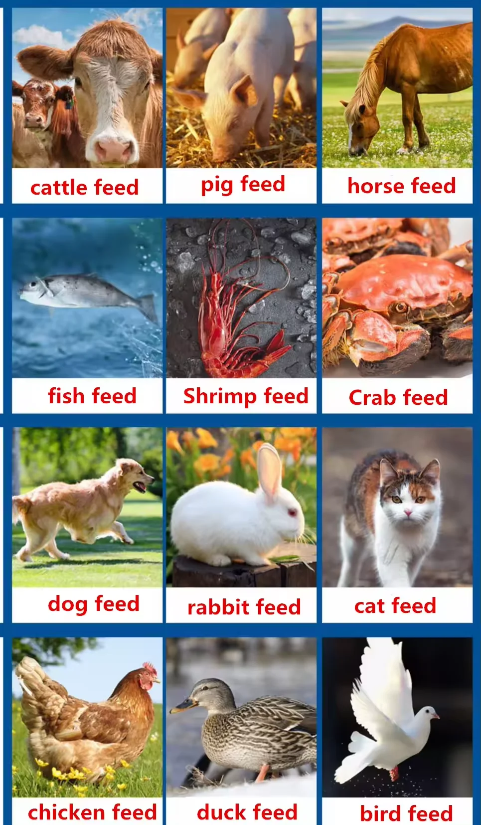 Máquina extrusora de alimentos para mascotas pequeñas, máquina de fabricación de alimentos para gatos, perros y peces, precio bajo