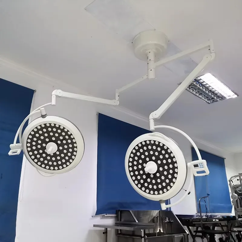 Animal Medical Double Head Vet Operation Room Lighting Ceiling Shadowless LED Lamp Veterinary Surgery Lights