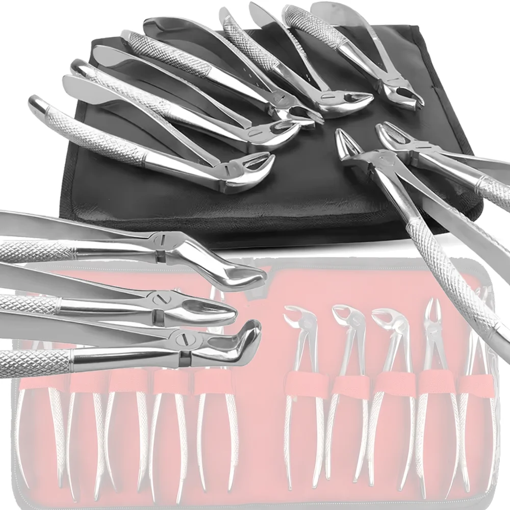 

10PC Stainless Steel Dental Surgical Tooth Extraction Forceps Pliers Kit Dental Tools for Safe And Effective Tooth Removal