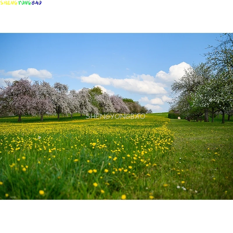 Natural Scenery Photography Background Forest River Landscape TravelPhoto Backdrops Studio Props  21929 BNM-03