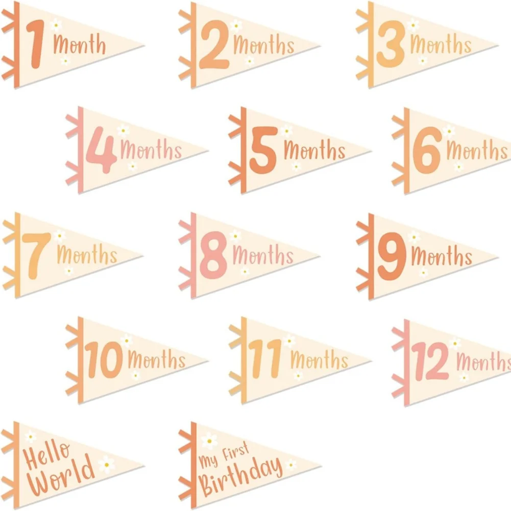 14 Pcs Baby Milestone Pennant Banner Set: Celebrate Every Month's Joy Home Crafts Supplies Home Decorations