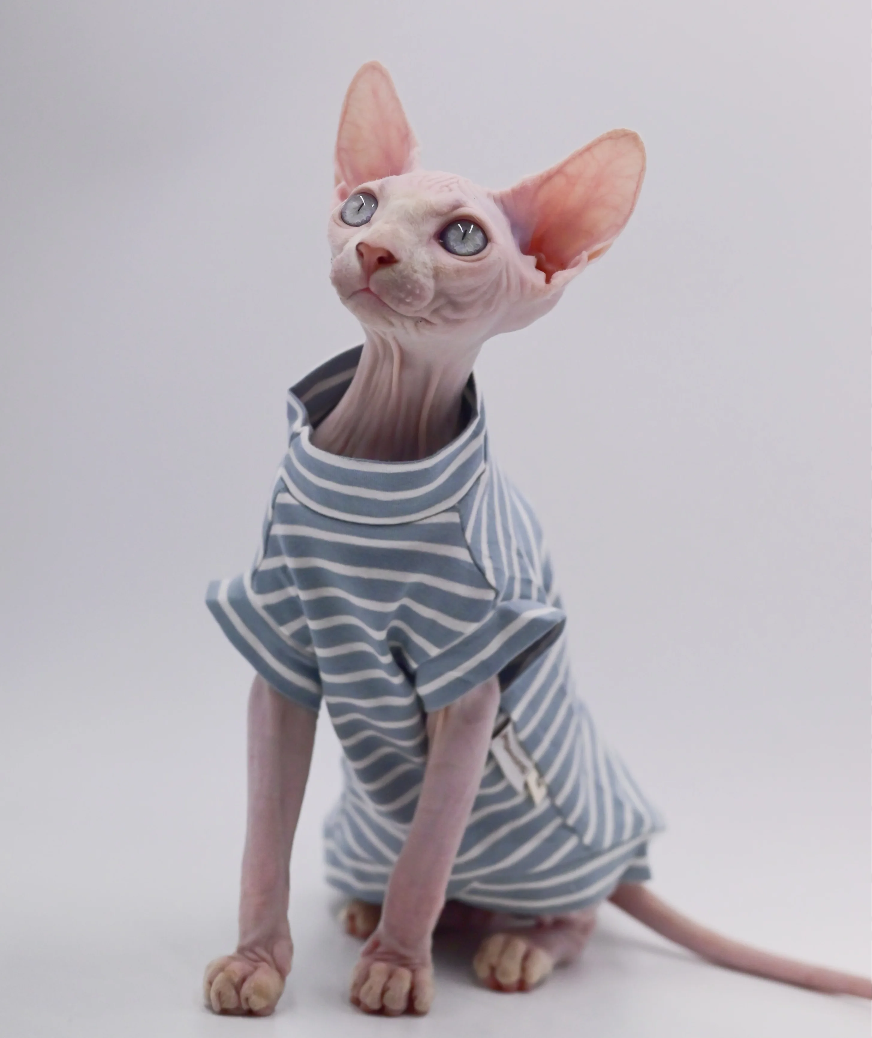 Sphynx-ropa para gatos, chaleco de algodón sin pelo para gatos, 100% de algodón suave para verano, chaleco fino sin mangas, ropa para gatos para