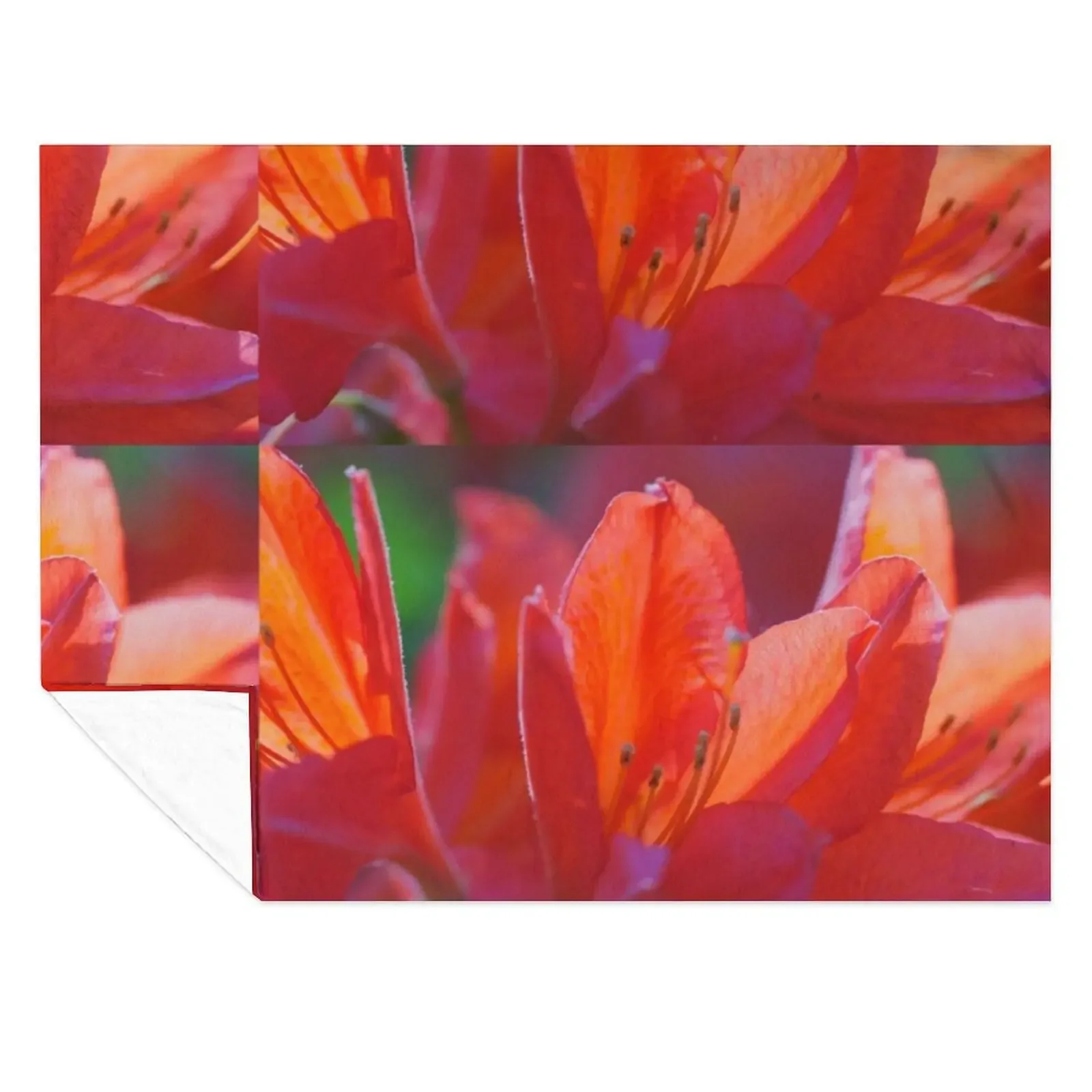 

bright red rhododendron flower Throw Blanket Soft Furry Decorative Beds funny gift Blankets