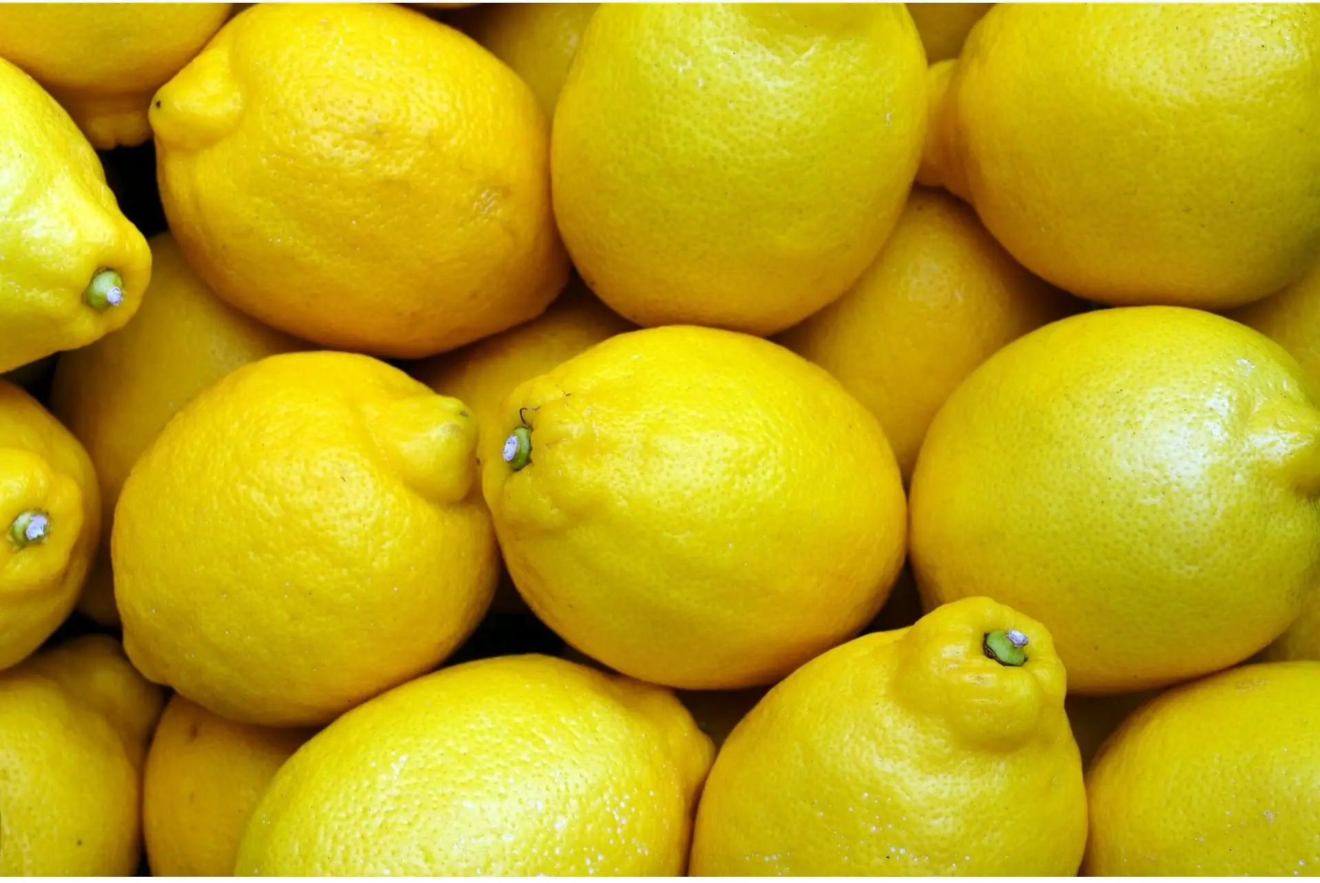 Delicious quality lemons 4 kilo or 9 kilo standard with a very pleasant taste, shape and texture