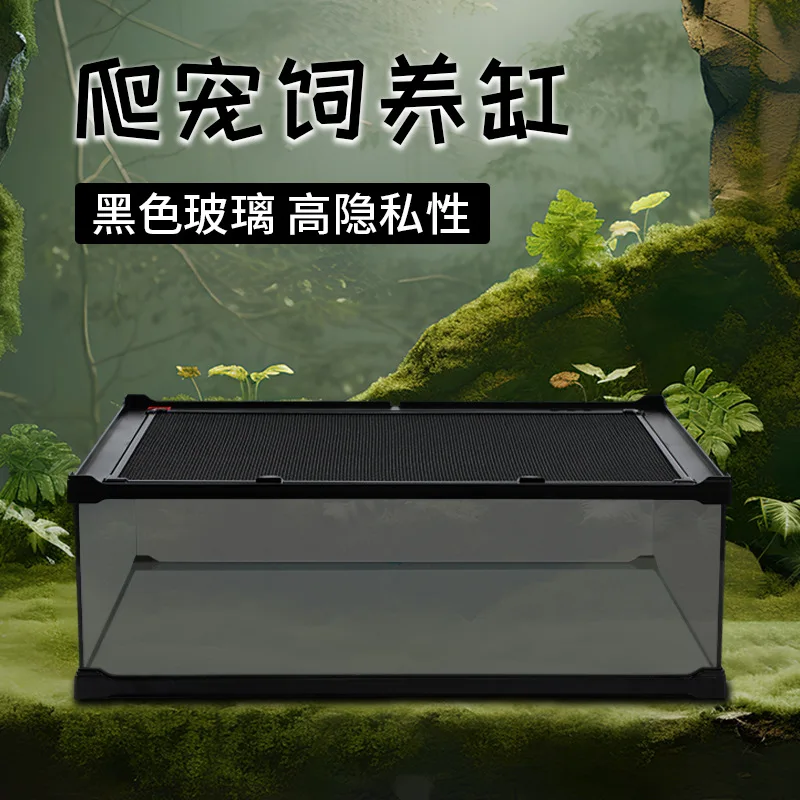 

CM Конфиденциальность Рептилии Рептилия Домашнее животное Черный стеклянный резервуар Рогатая лягушка Паук геккон Ящерица Игрушка Змея Резервуар для разведения